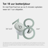 Beats Solo Buds — draadloze Bluetooth oortjes | 18 uur batterijduur | compatibel met Apple en Android | ingebouwde microfoon – stormgrijs