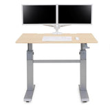 Ergotron WORKFIT-DL MLW 48X29