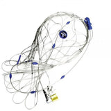 Pacsafe 85L backpack & bag