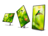 DELL Ultrasharp 32 PremierColor UltraHD