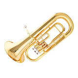 Messinglak Goud Drie Stand Key B Flat Euphonium Volwassen Koperinstrument Met Accessoires Eufonium voor Beginners