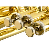 Euphonium-set B Platte Drie Standaard Sleutel Euphonium Messing Lak Goud Grote Trompet Met Opbergkoffer En Accessoires Euphonium-Instrument