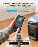 EF ECOFLOW DELTA Pro draagbare thuisbatterij, uitbreidbare draagbare krachtcentrale, 3,6 kWh-25 kWh, enorme 3600 W AC-uitgang, zonnegenerator voor back-up thuis, reizen, buiten kamperen
