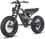 Fafrees F20 Ultra Fatbike Elektrische fiets, 50,8 x 12,7 cm, e-bike met accu van 48 V/25 Ah, volledige vering, elektrische fiets voor heren, bereik 80-120 km