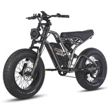 Fafrees F20 Ultra Fatbike Elektrische fiets, 50,8 x 12,7 cm, e-bike met accu van 48 V/25 Ah, volledige vering, elektrische fiets voor heren, bereik 80-120 km