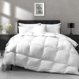 APSMILE Donzen dekbed 155 x 220 cm voor het hele jaar, dekbed 155 x 220 cm, ganzendons en ganzenveren, medium warm, zacht en pluizig dekbed zonder levend geplukt, wit