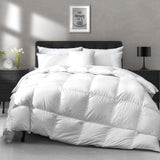APSMILE Donzen dekbed 155 x 220 cm voor het hele jaar, dekbed 155 x 220 cm, ganzendons en ganzenveren, medium warm, zacht en pluizig dekbed zonder levend geplukt, wit