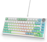 SOLIDEE Bedraad 75% Hotswappable Mechanisch Gaming Toetsenbord,met Rode Schakelaars RGB Verlicht Toetsenbord,82 Toetsen TKL Mechanisch Toetsenbord,NKRO Compact Toetsenbord met Knop(82 Mint)