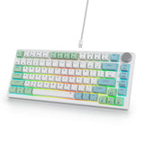 SOLIDEE Bedraad 75% Hotswappable Mechanisch Gaming Toetsenbord,met Rode Schakelaars RGB Verlicht Toetsenbord,82 Toetsen TKL Mechanisch Toetsenbord,NKRO Compact Toetsenbord met Knop(82 Mint)