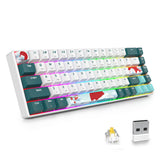 SOLIDEE 65% RGB Mechanisch Toetsenbord,Bluetooth 5.0/2.4Ghz/Bedraad Toetsenbord,68 Toetsen RGB Achtergrondverlicht,Hot Swappable Toetsenbord met Lineaire Gateron Gele Schakelaar(68 Forest)