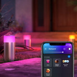 Philips Hue Calla Sokkellamp - Staande Buitenlamp - IP65 - LED Tuinverlichting - Wit en Gekleurd Licht - Buitenverlichting - Werkt met Alexa en Google Home - 25.2 cm Hoog - Roestvrij Staal