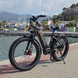 LANKELEISI MG600 Plus Elektrische fietsen voor heren en dames, e-mountainbike met 7 Versnellingen en 48V 20Ah verwijderbare batterij, bereik tot 150 KM Fatbike