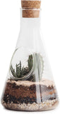 SUCK UK Terrarium Chemie Set | Conische kolf Terrariumkit voor planten | Educatieve Wetenschappen Kits | Glazen Terrarium met aarde voor cactusplanten | Mini Eco-systeem | Scheikunde Geschenken