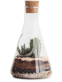 SUCK UK Terrarium Chemie Set | Conische kolf Terrariumkit voor planten | Educatieve Wetenschappen Kits | Glazen Terrarium met aarde voor cactusplanten | Mini Eco-systeem | Scheikunde Geschenken