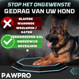 PAWPRO Trainingshalsband voor Honden, Bereik XXL van 3000m, Voldoet aan Nieuwe Wet 2024 Dierenwelzijn, 3 Modi BIEP, Boost Trilling, voor Honden van Alle Groottes, Waterdicht en Oplaadbaar