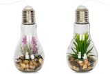 levandeo Set van 2 vetplanten LED-gloeilampen glas B x H: 8x19cm decoratieve lamp kunstplant groen hanglamp tafeldecoratie