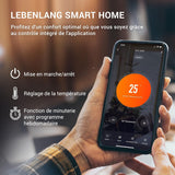 LEBENLANG Keramische ventilatorkachel, energiebesparend, stil, inclusief app & WiFi, afstandsbediening, 2000 W, elektrisch, voor binnen, elektrische warmtestraler, eco heat