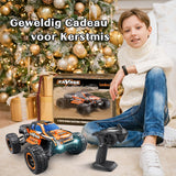 Loolinn | RC Auto - Hobby klasse, Vrij Duurzaam, Schaal 1:16, Topsnelheid 30 km/h, Verstelbare Snelheid, Klaar voor Gebruik, Upgradebaar - Bestuurbare Auto voor Volwassen en Kinderen (Kerstcadeau)