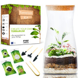 DIY terrariumset voor planten - terrarium starterskit voor tuin in fles - zelfvoorzienend ecosysteem - plantenterrariumset met pot - geen plant (kit met pot)