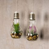 levandeo Set van 2 vetplanten LED-gloeilampen glas B x H: 8x19cm decoratieve lamp kunstplant groen hanglamp tafeldecoratie