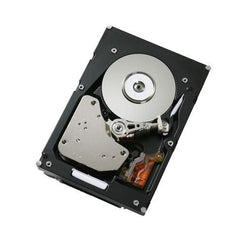 IBM 750GB/7.2K SATA E-DDM