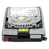 Hewlett Packard Enterprise 300Gb 10K RPM FC