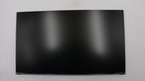 Lenovo LCD Panel