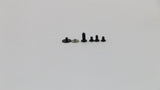 Lenovo Screw pack for model 81M9