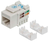 Intellinet Cat6 Keystone Jack