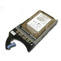 IBM 146.8GB 10 000RPM F/C