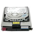 Hewlett Packard Enterprise 300GB HS DUAL PORT FC 10K HDD