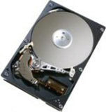 HGST 40GB IDE 7200RPM 2MB CACHE