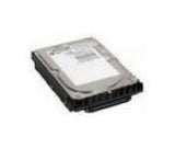 IBM 36.4GB 10K U320 68PIN SCSI HD