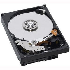 IBM 2 TB 7.2K 6 GB SAS 3.5" HDD