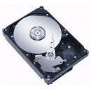 IBM HDD/300G 10K SATA 2.5" SFF